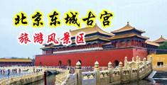淫水直流骚b中国北京-东城古宫旅游风景区